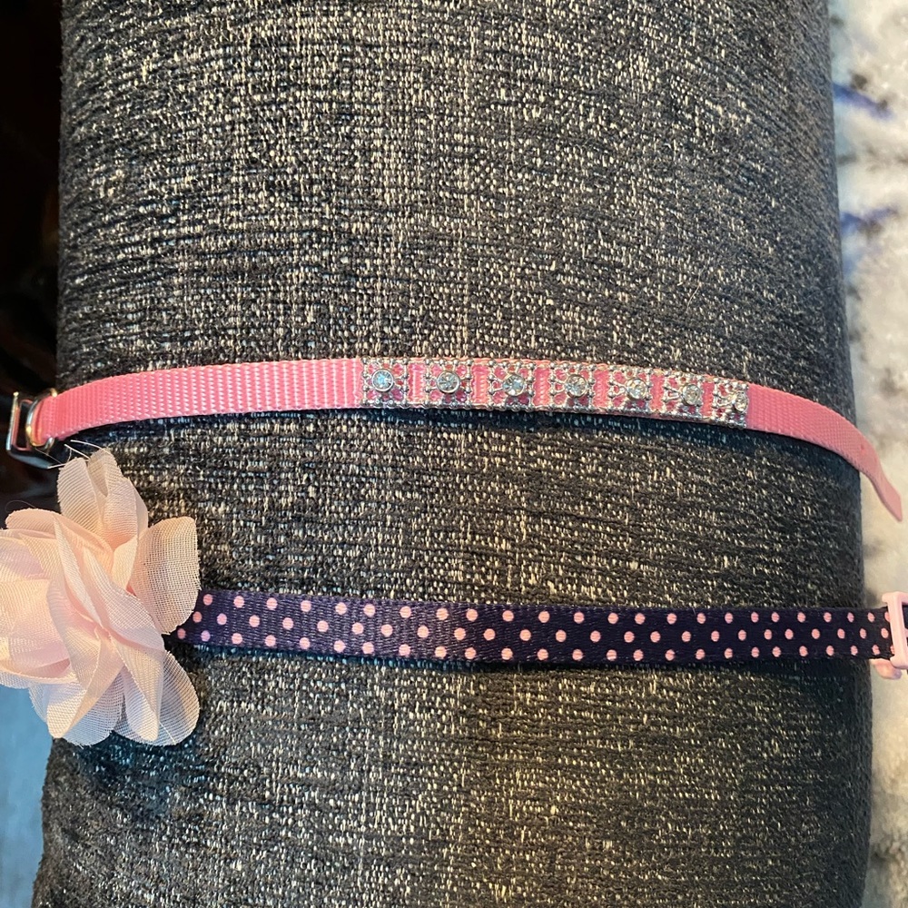 Dog 🐶 or / Cat 🐱 collars